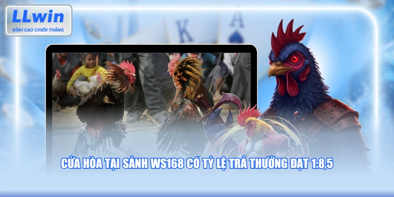 Cửa hòa tại sảnh WS168 có tỷ lệ trả thưởng đạt 1:8,5
